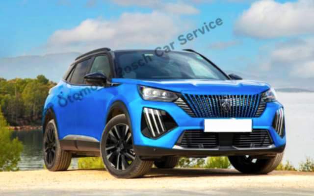 Kağıthane Peugeot Servisi